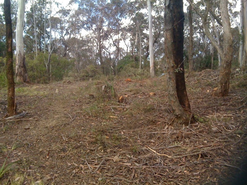 25 Foy Avenue, Medlow Bath NSW 2780