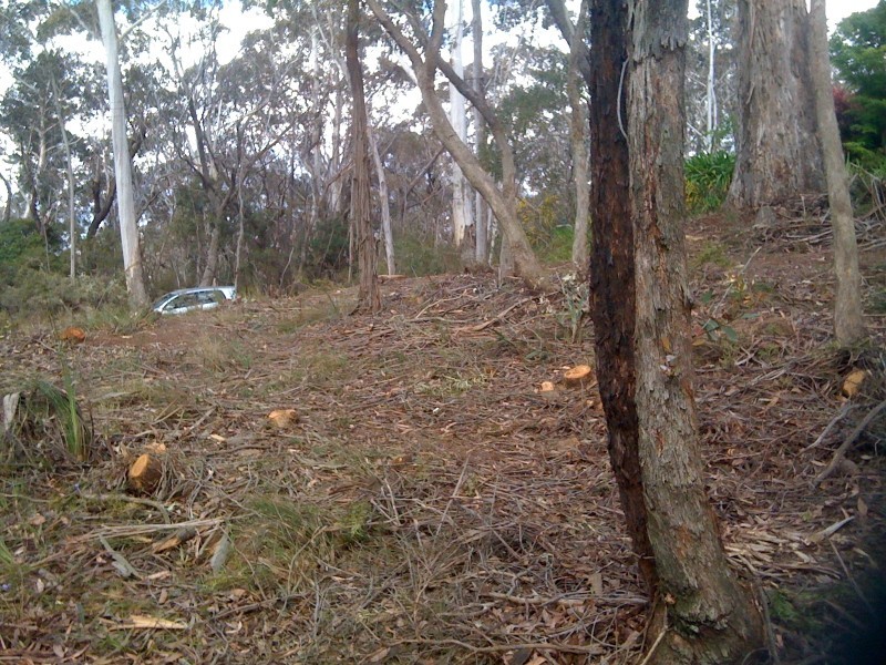 25 Foy Avenue, Medlow Bath NSW 2780