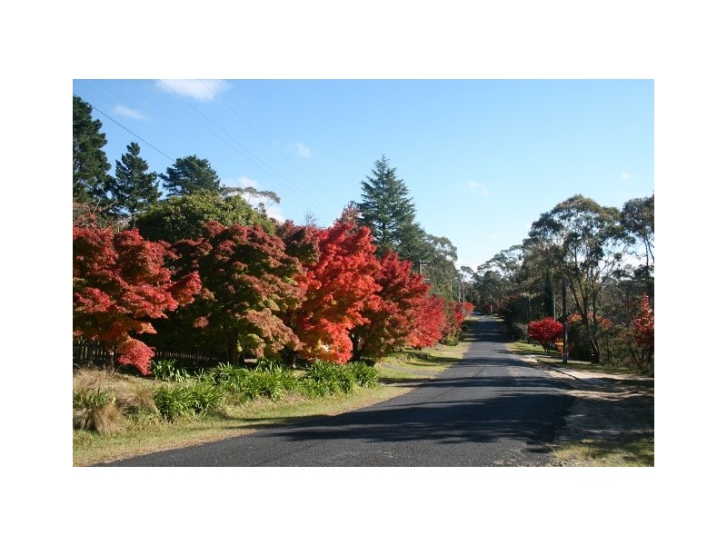 Wentworth Falls NSW 2782