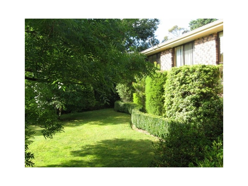 Wentworth Falls NSW 2782