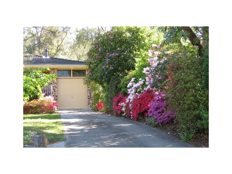 Wentworth Falls NSW 2782