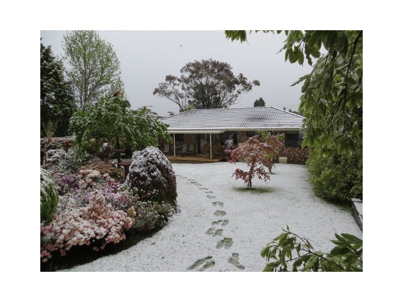 Wentworth Falls NSW 2782