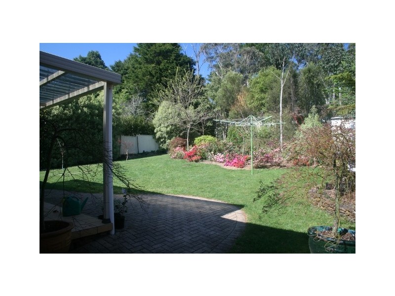 Wentworth Falls NSW 2782