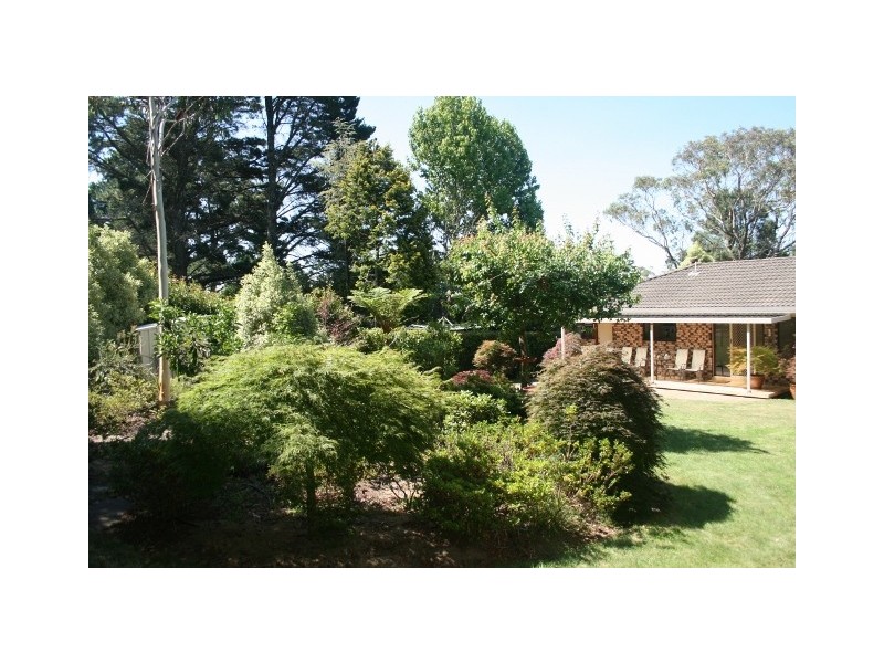 Wentworth Falls NSW 2782