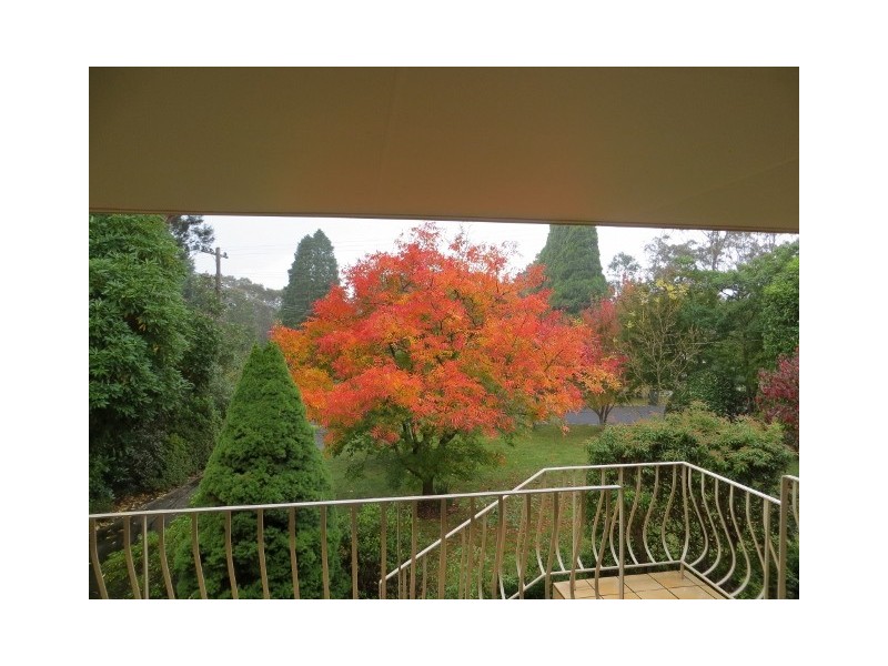 Wentworth Falls NSW 2782