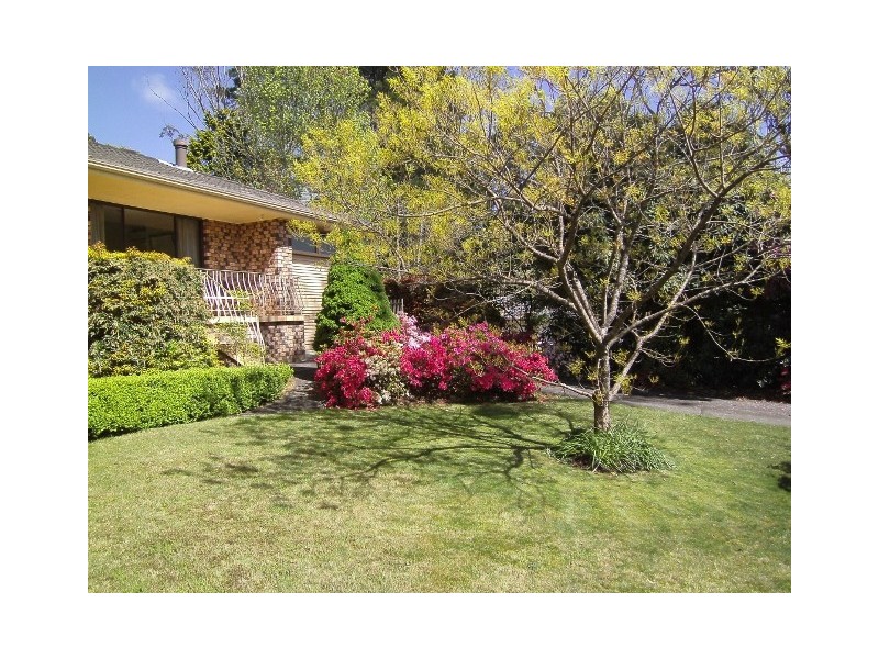 Wentworth Falls NSW 2782