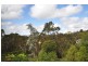 56 Wellington Road, Katoomba NSW 2780