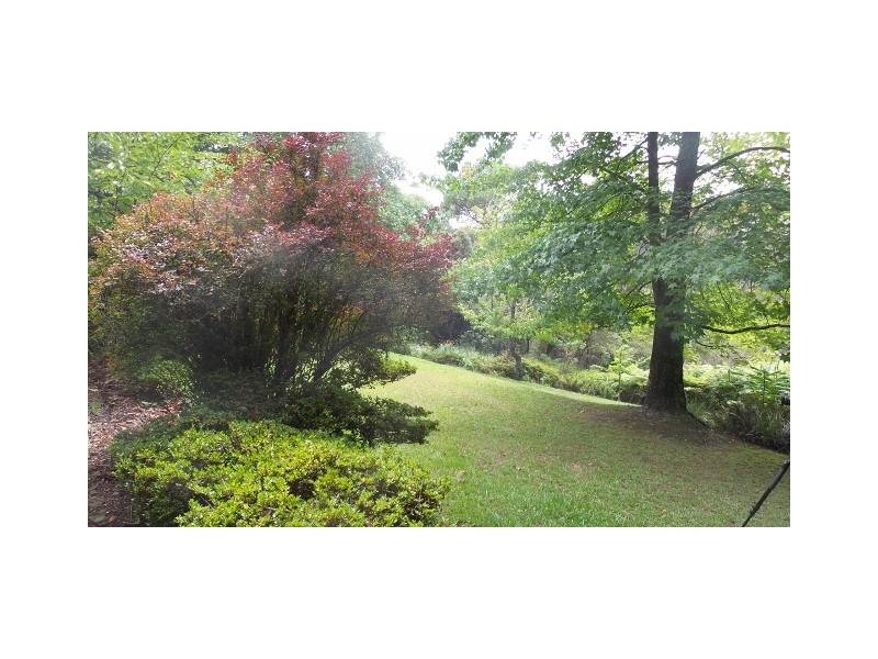 36 Taylor Avenue, Wentworth Falls NSW 2782