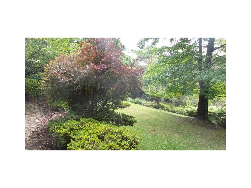 36 Taylor Avenue, Wentworth Falls NSW 2782