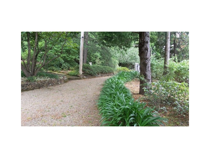 36 Taylor Avenue, Wentworth Falls NSW 2782