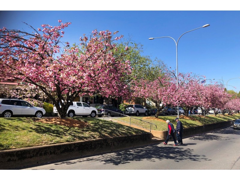 153 The Mall, Leura NSW 2780