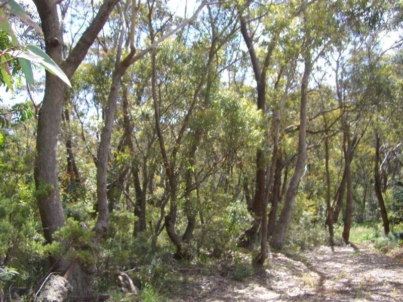 51 Sublime Point Road, Leura NSW 2780