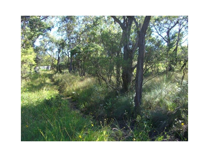 82 Bate Street, Wentworth Falls NSW 2782