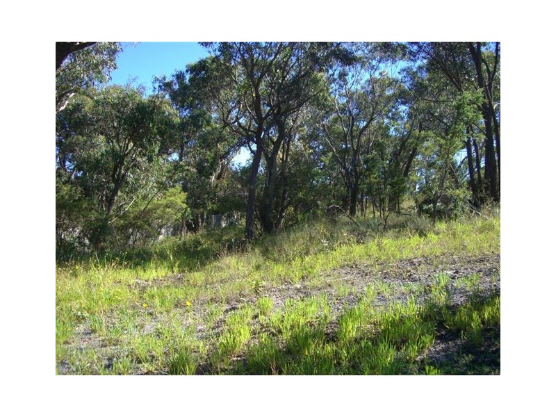 82 Bate Street, Wentworth Falls NSW 2782