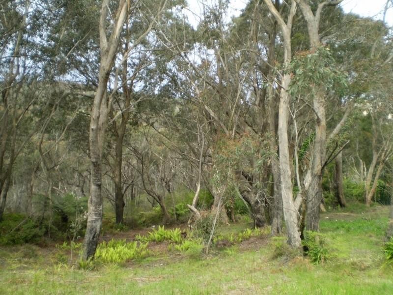 5A Mount Hay Road, Leura NSW 2780