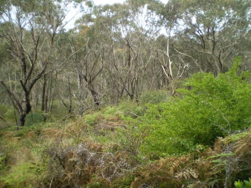 5A Mount Hay Road, Leura NSW 2780