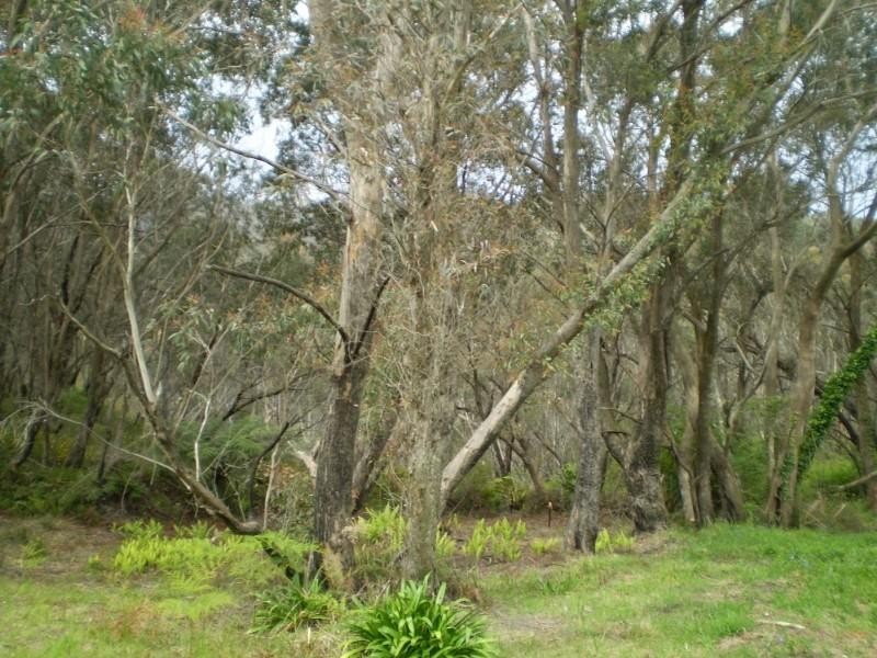 5A Mount Hay Road, Leura NSW 2780