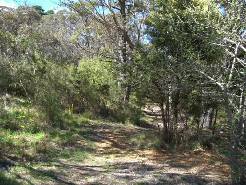 Mount Victoria NSW 2786