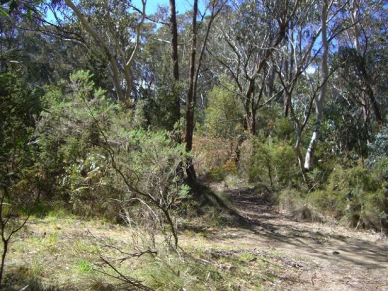 Mount Victoria NSW 2786