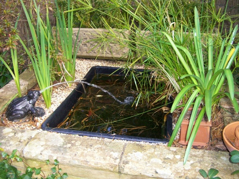 Wentworth Falls NSW 2782