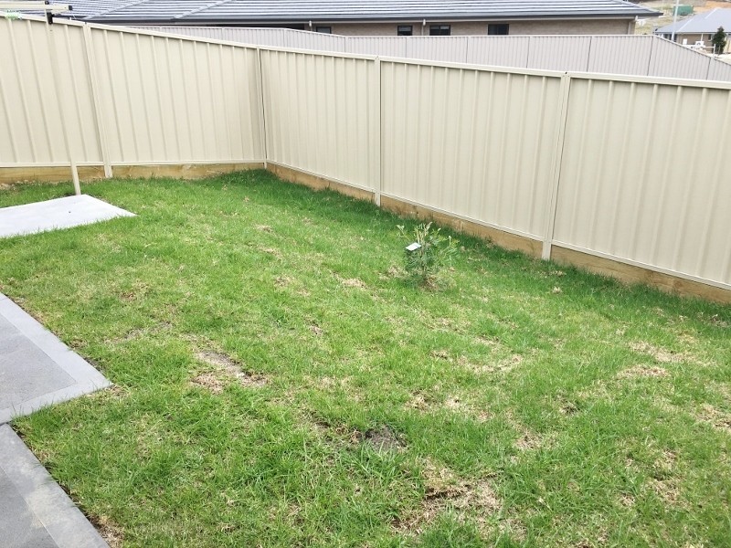 3b Mornington Circuit, Gwandalan NSW 2259