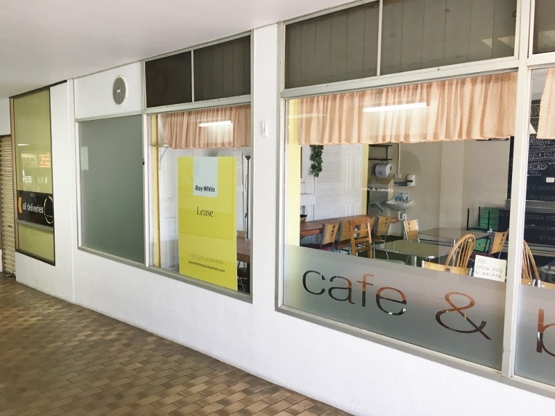 2 and 4 / 227 Main Road, Toukley NSW 2263