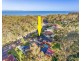 16 Donald Avenue, Kanwal NSW 2259