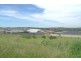 148 Mataram Rd, Woongarrah NSW 2259