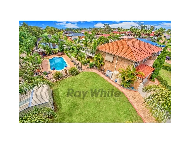 234 Warnervale Road, Hamlyn Terrace NSW 2259