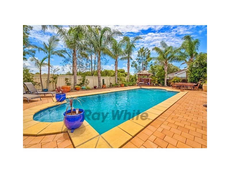 234 Warnervale Road, Hamlyn Terrace NSW 2259