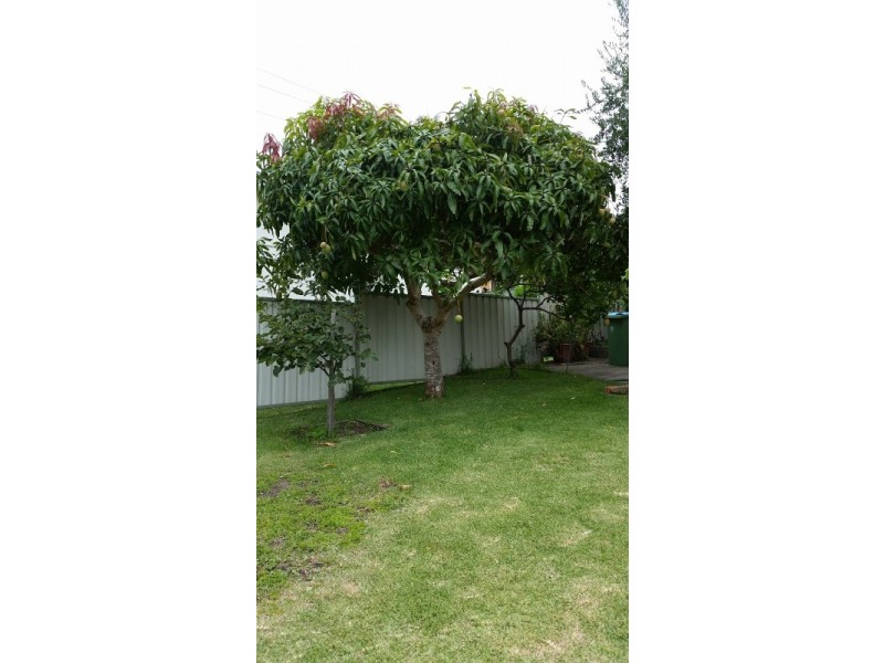 2/9 Diamond Head Dr, Budgewoi NSW 2262