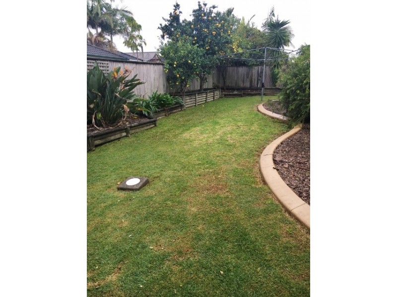 12a Camellia Place, Woongarrah NSW 2259