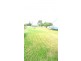 474 Pacific Highway, Wyong NSW 2259