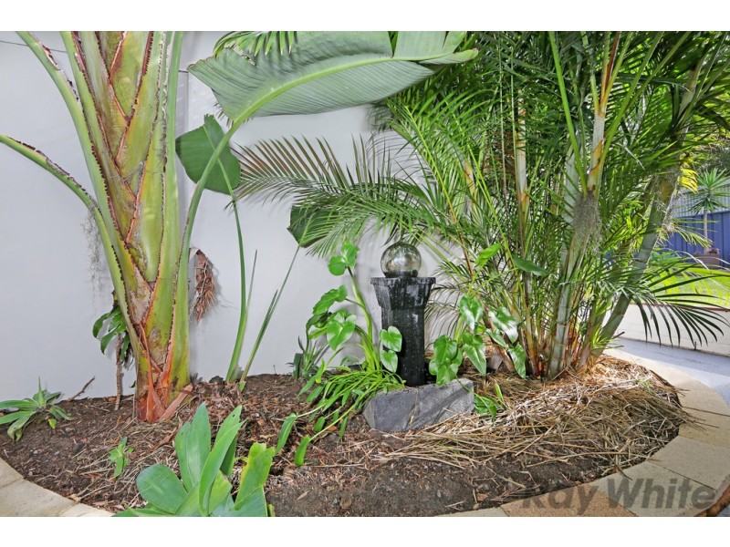 22 Sunrise Avenue, Budgewoi NSW 2262