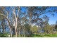 74 Buff Point Avenue, Buff Point NSW 2262