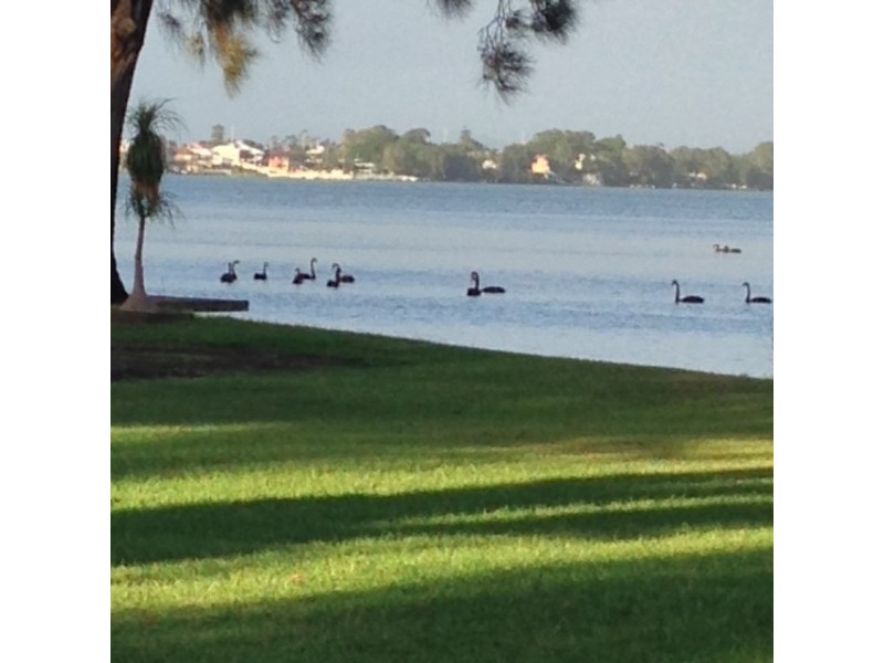 80 Leonard Avenue, Toukley NSW 2263