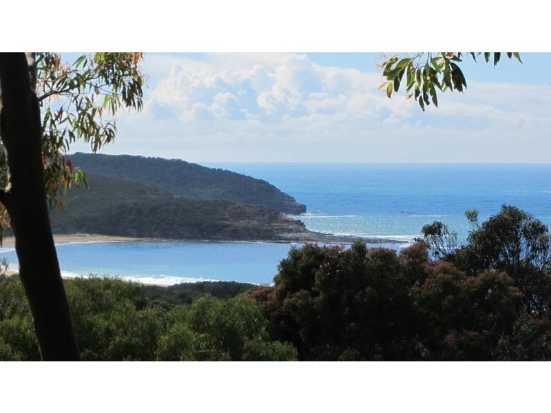 24 Grandview Crescent, Killcare NSW 2257