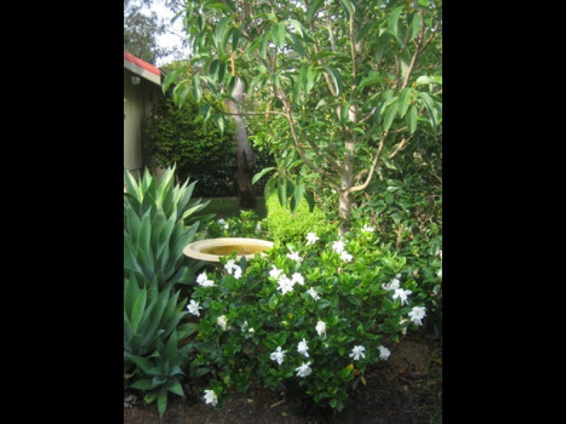 16 Three Points Avenue, Macmasters Beach NSW 2251
