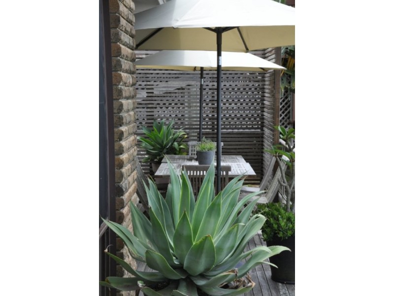 12A The Scenic Road, Killcare NSW 2257