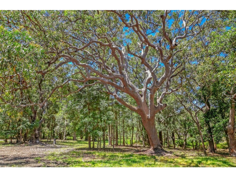 135 Maitland Bay Drive, Killcare Heights NSW 2257