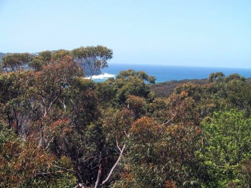 37  Beachview Esplanade, Macmasters Beach NSW 2251