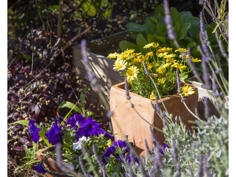 1/50 Araluen Drive, Killcare NSW 2257