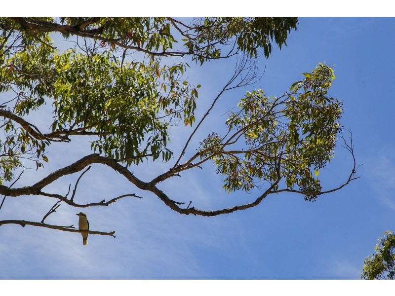 135 Maitland Bay Drive, Killcare Heights NSW 2257