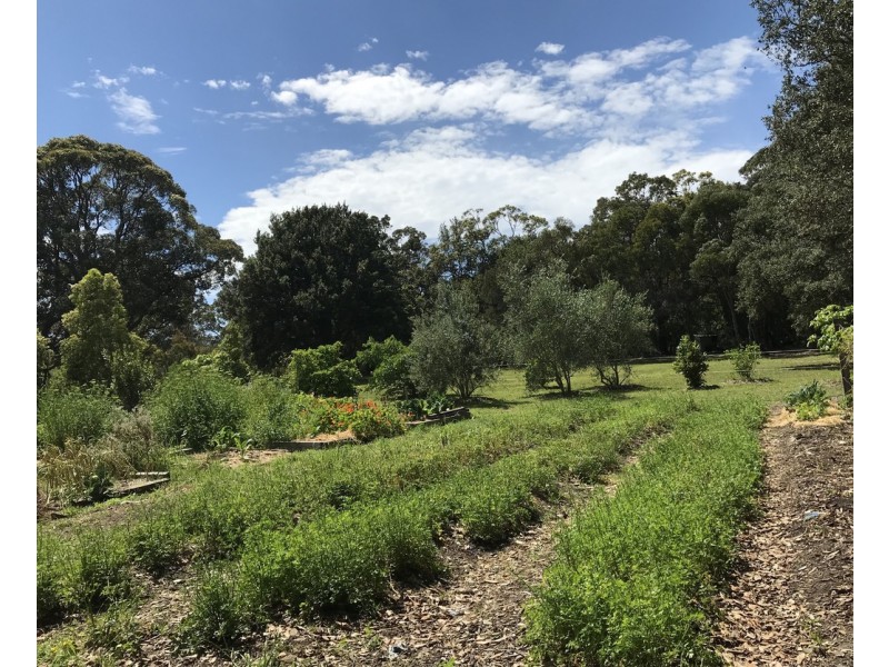 135 Maitland Bay Drive, Killcare Heights NSW 2257