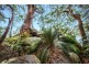 76 Heath Road, Hardys Bay NSW 2257