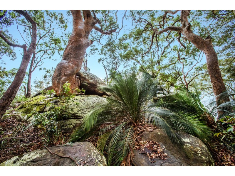 76 Heath Road, Hardys Bay NSW 2257