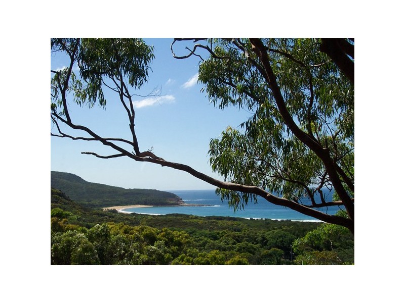 20 Grandview Crescent, Killcare NSW 2257