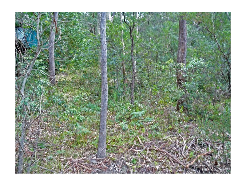 79 Albert St, Wagstaffe NSW 2257