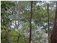 79 Albert St, Wagstaffe NSW 2257