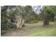11 Pauline Avenue, Killcare Heights NSW 2257